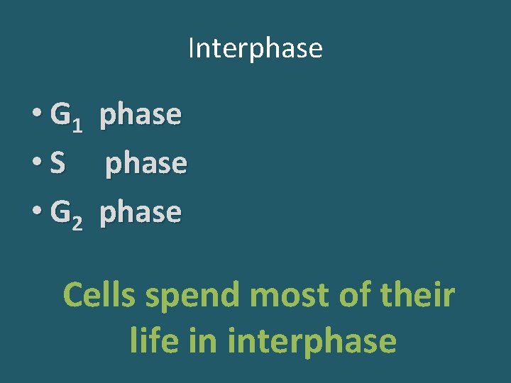 Interphase • G 1 • S • G 2 phase Cells spend most of
