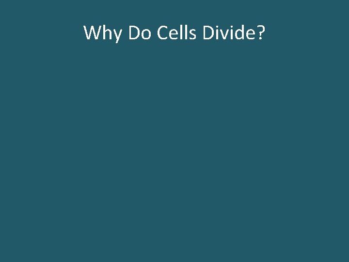 Why Do Cells Divide? 