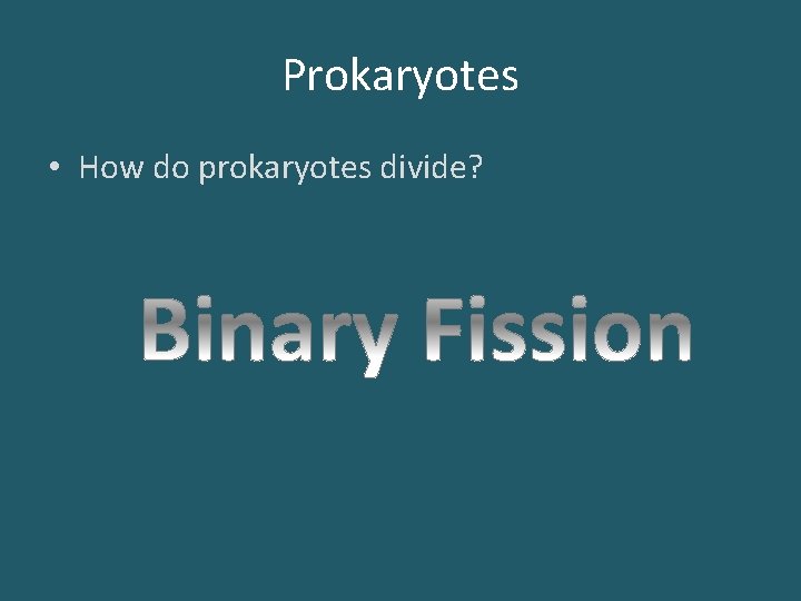 Prokaryotes • How do prokaryotes divide? 