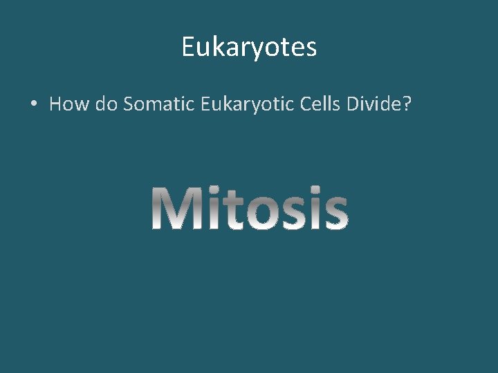 Eukaryotes • How do Somatic Eukaryotic Cells Divide? 