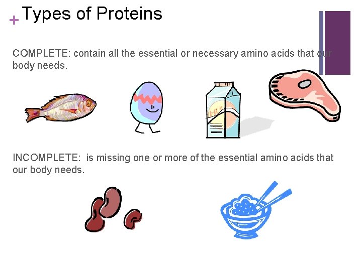 Types of Proteins + COMPLETE: contain all the essential or necessary amino acids that