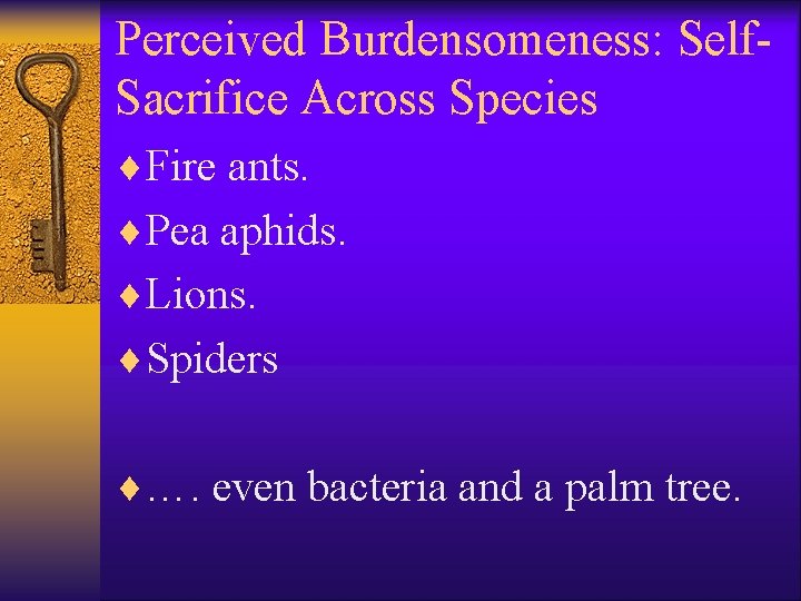 Perceived Burdensomeness: Self. Sacrifice Across Species ¨Fire ants. ¨Pea aphids. ¨Lions. ¨Spiders ¨…. even