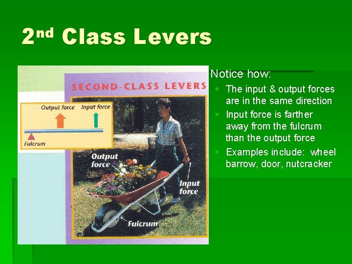 2 nd Class Levers § Notice how: § The input & output forces are