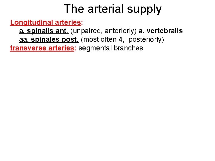 The arterial supply Longitudinal arteries: a. spinalis ant. (unpaired, anteriorly) a. vertebralis aa. spinales