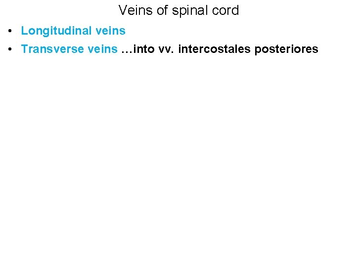 Veins of spinal cord • Longitudinal veins • Transverse veins …into vv. intercostales posteriores