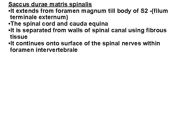 Saccus durae matris spinalis • It extends from foramen magnum till body of S