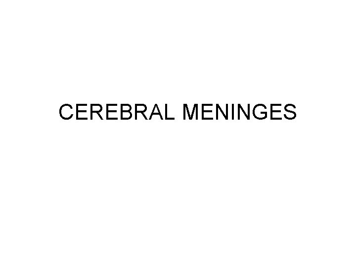 CEREBRAL MENINGES 