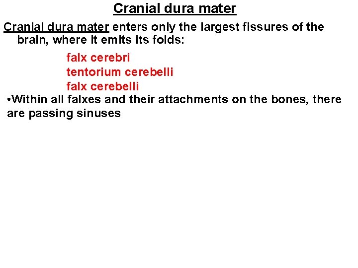 Cranial dura mater enters only the largest fissures of the brain, where it emits