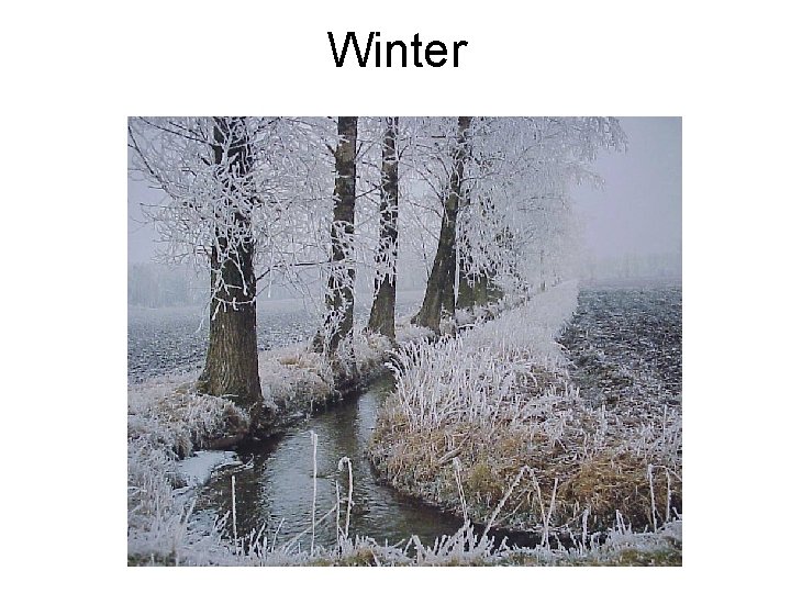 Winter 