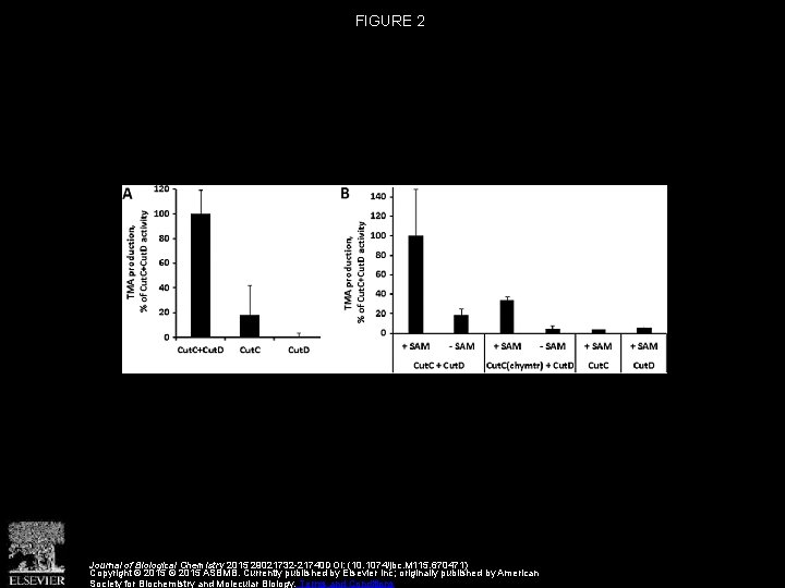 FIGURE 2 Journal of Biological Chemistry 2015 29021732 -21740 DOI: (10. 1074/jbc. M 115.