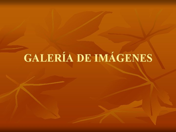 GALERÍA DE IMÁGENES 