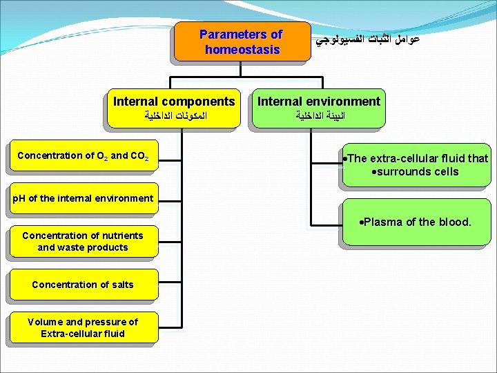 Parameters of homeostasis ﻋﻮﺍﻣﻞ ﺍﻟﺜﺒﺎﺕ ﺍﻟﻔﺴﻴﻮﻟﻮﺟﻲ Internal components Internal environment ﺍﻟﻤﻜﻮﻧﺎﺕ ﺍﻟﺪﺍﺧﻠﻴﺔ ﺍﻟﺒﻴﺌﺔ ﺍﻟﺪﺍﺧﻠﻴﺔ