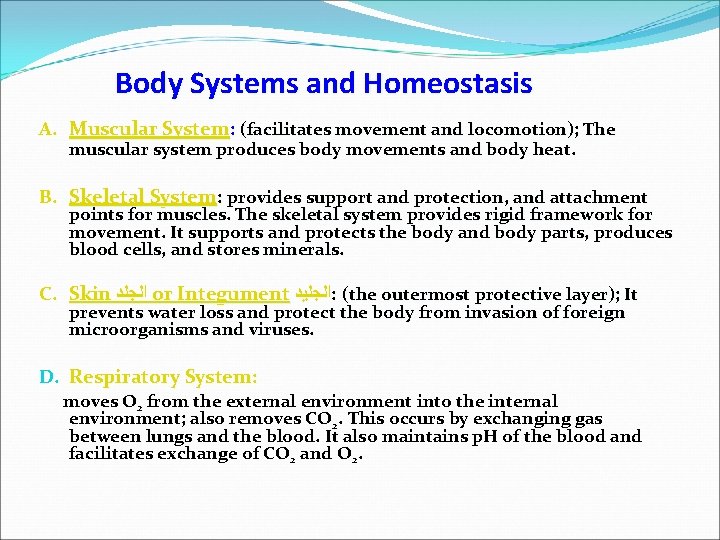 Body Systems and Homeostasis A. Muscular System: (facilitates movement and locomotion); The muscular system