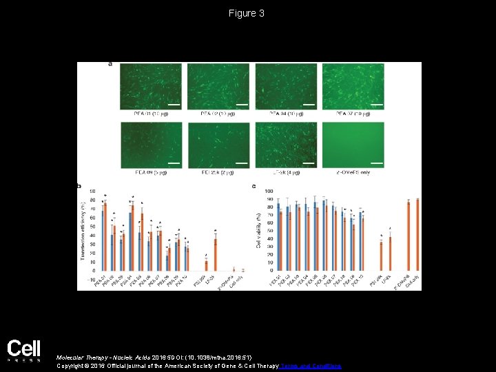 Figure 3 Molecular Therapy - Nucleic Acids 2016 5 DOI: (10. 1038/mtna. 2016. 51) Figure 3 Molecular Therapy - Nucleic Acids 2016 5 DOI: (10. 1038/mtna. 2016. 51)