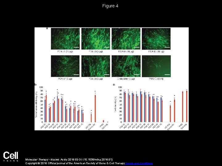 Figure 4 Molecular Therapy - Nucleic Acids 2016 5 DOI: (10. 1038/mtna. 2016. 51) Figure 4 Molecular Therapy - Nucleic Acids 2016 5 DOI: (10. 1038/mtna. 2016. 51)
