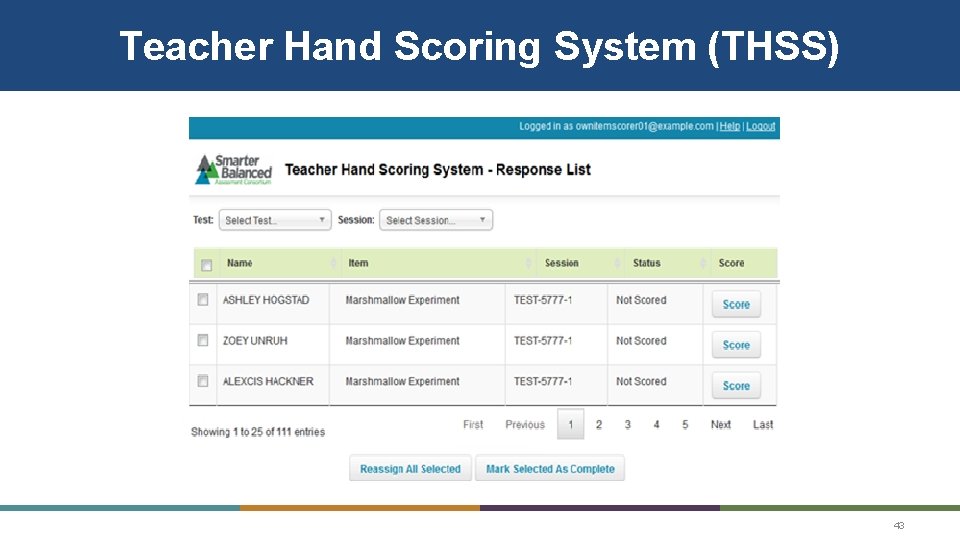 Teacher Hand Scoring System (THSS) 43 