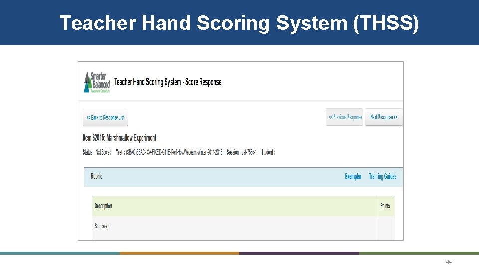Teacher Hand Scoring System (THSS) 44 