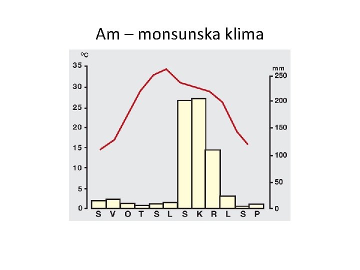 Am – monsunska klima 