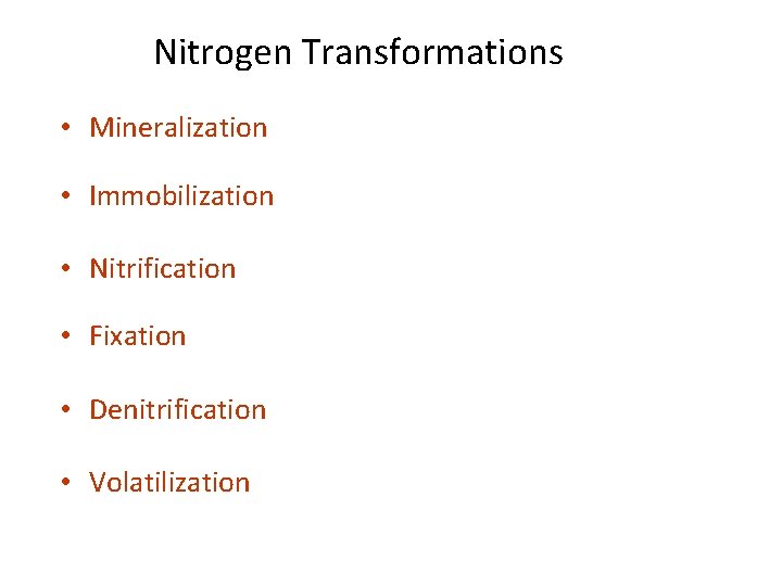 Nitrogen Transformations • Mineralization • Immobilization • Nitrification • Fixation • Denitrification • Volatilization