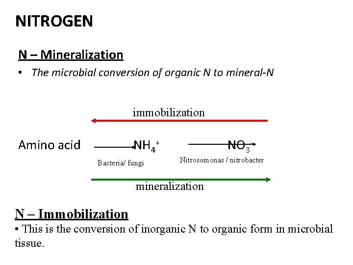 NITROGEN N – Mineralization • The microbial conversion of organic N to mineral-N immobilization
