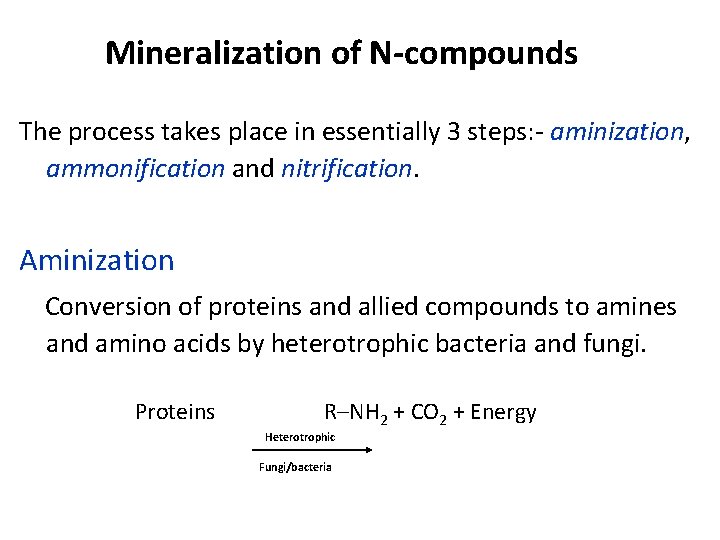 Mineralization of N-compounds The process takes place in essentially 3 steps: - aminization, ammonification