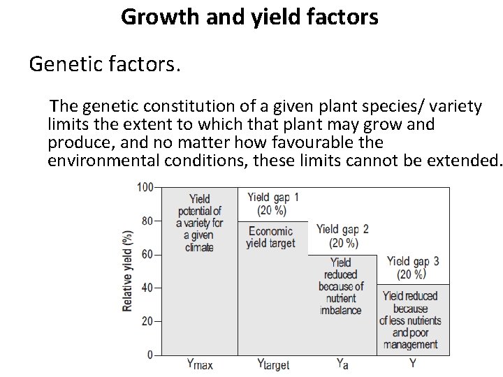 Growth and yield factors Genetic factors. The genetic constitution of a given plant species/