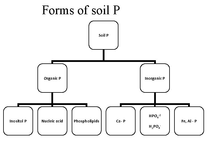 Forms of soil P Soil P Organic P Inositol P Nucleic acid Inorganic P