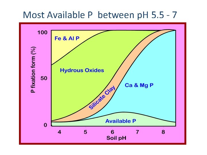 Most Available P between p. H 5. 5 - 7 