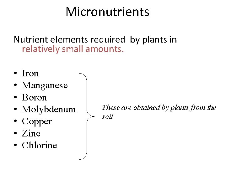 Micronutrients Nutrient elements required by plants in relatively small amounts. • • Iron Manganese