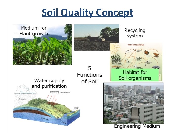 Soil Quality Concept 
