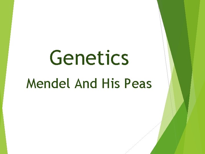 Genetics Mendel And His Peas 