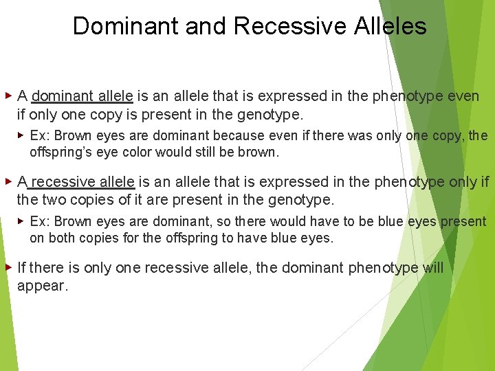 Dominant and Recessive Alleles ▶ A dominant allele is an allele that is expressed