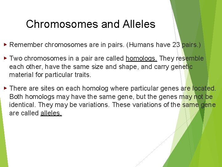 Chromosomes and Alleles ▶ Remember chromosomes are in pairs. (Humans have 23 pairs. )