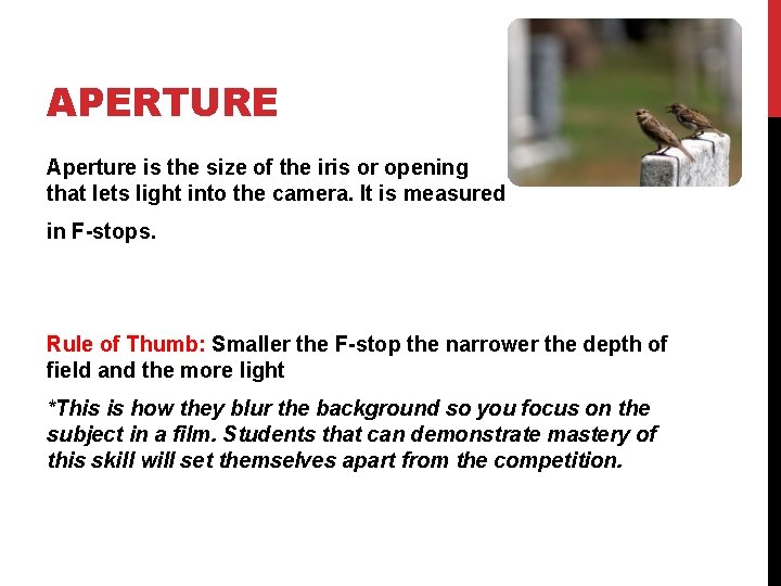 APERTURE Aperture is the size of the iris or opening that lets light into
