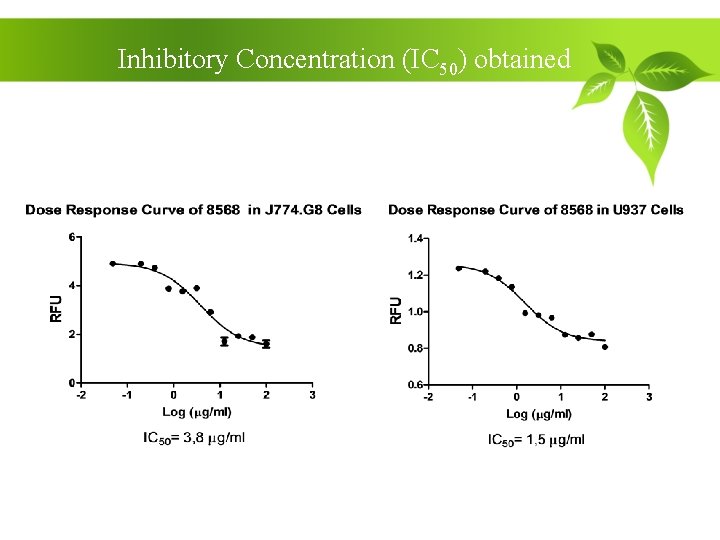 Inhibitory Concentration (IC 50) obtained 