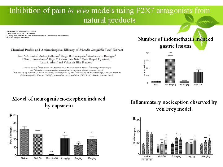 Inhibition of pain in vivo models using P 2 X 7 antagonists from natural