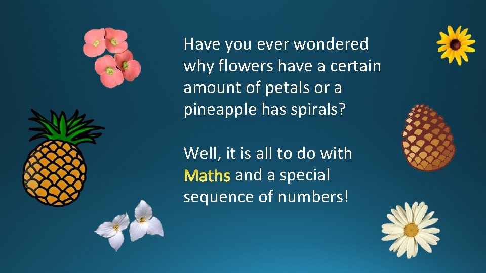 Have you ever wondered why flowers have a certain amount of petals or a