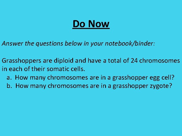 Do Now Answer the questions below in your notebook/binder: Grasshoppers are diploid and have