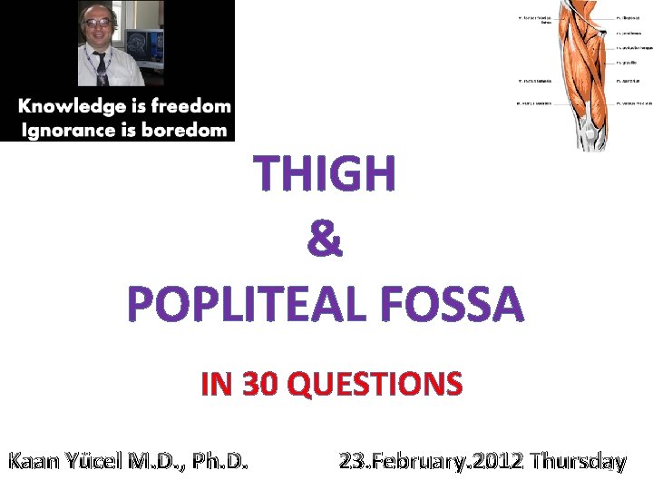 THIGH & POPLITEAL FOSSA IN 30 QUESTIONS Kaan Yücel M. D. , Ph. D.