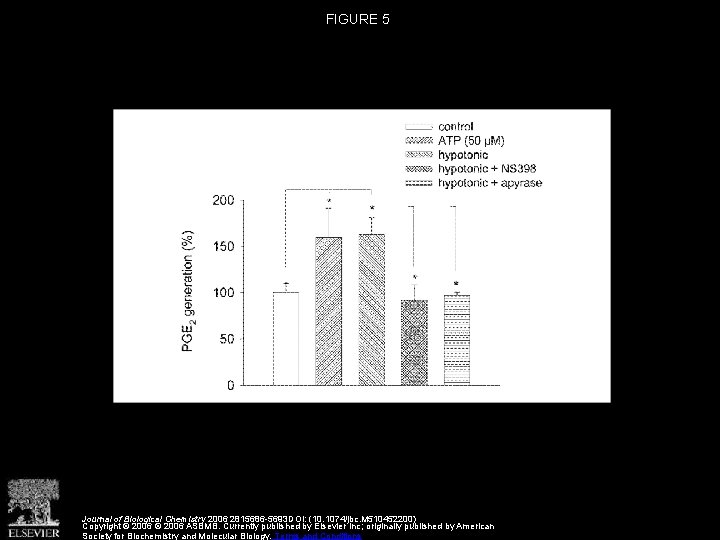 FIGURE 5 Journal of Biological Chemistry 2006 2815686 -5693 DOI: (10. 1074/jbc. M 510452200)