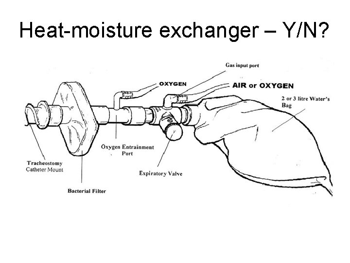 Heat-moisture exchanger – Y/N? 