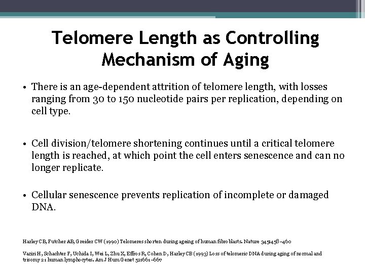 Telomere Length as Controlling Mechanism of Aging • There is an age-dependent attrition of