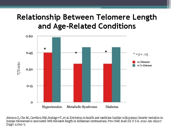 Relationship Between Telomere Length and Age-Related Conditions * * * = p<. 05 T/S