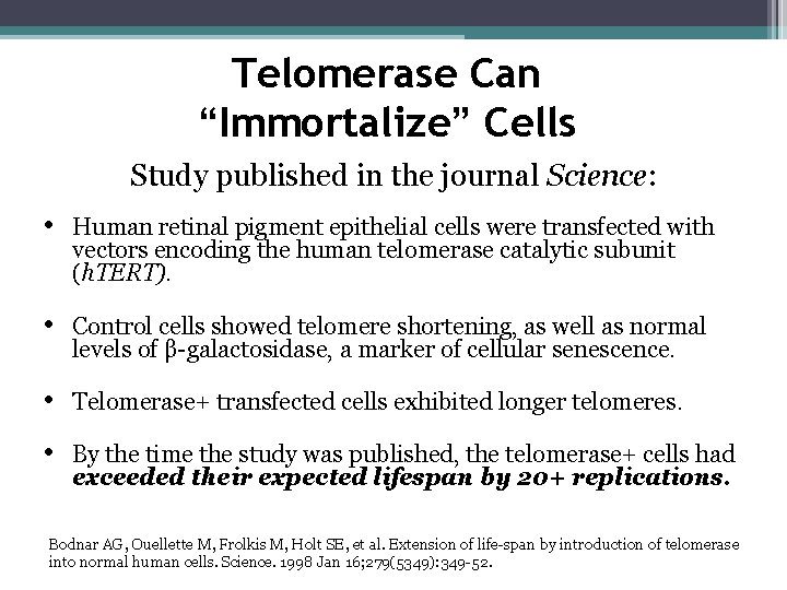 Telomerase Can “Immortalize” Cells Study published in the journal Science: • Human retinal pigment