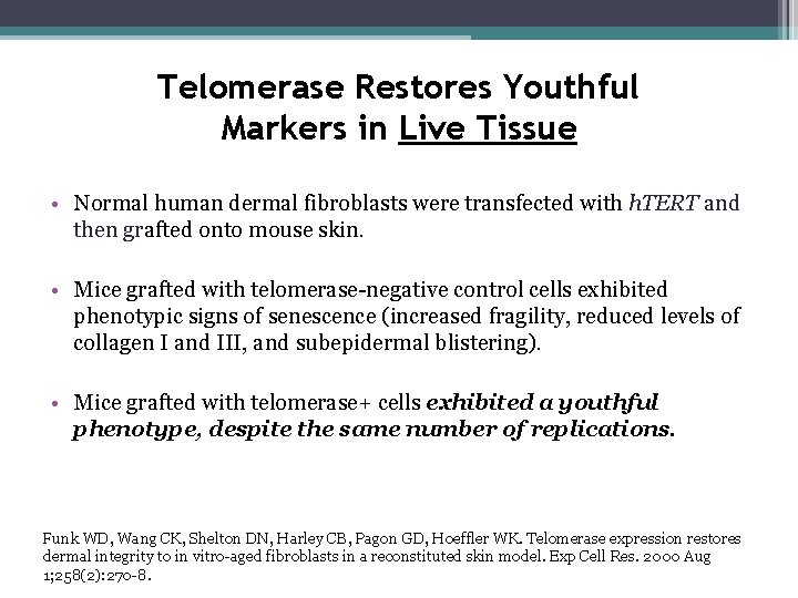 Telomerase Restores Youthful Markers in Live Tissue • Normal human dermal fibroblasts were transfected