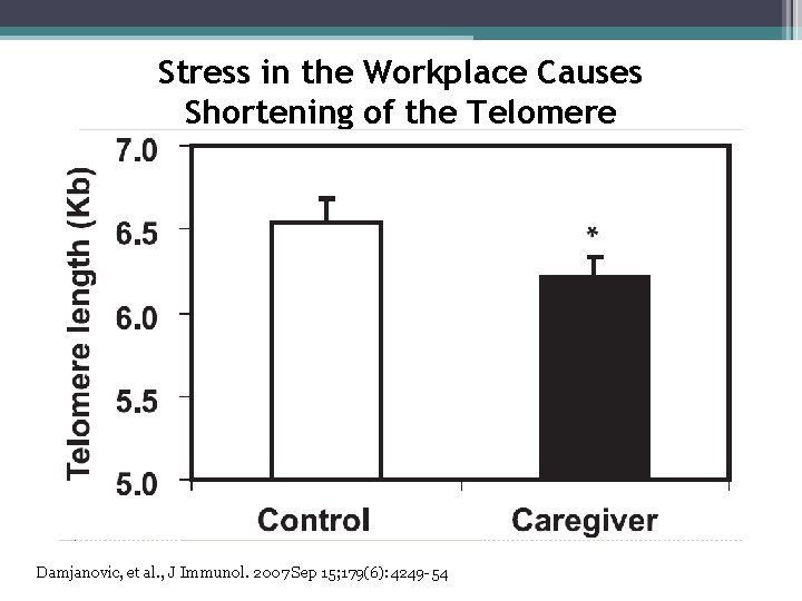 Stress in the Workplace Causes Shortening of the Telomere 1 st Quartile Damjanovic, et