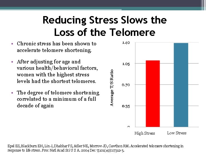 Reducing Stress Slows the Loss of the Telomere • After adjusting for age and