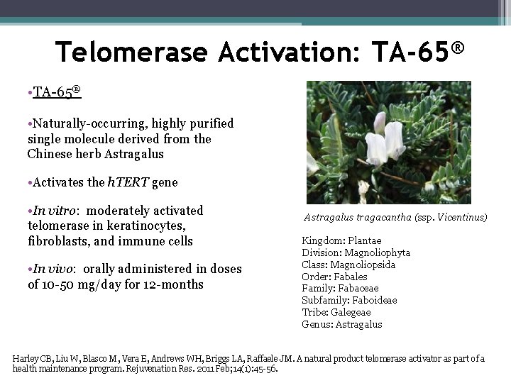 Telomerase Activation: TA-65® • Naturally-occurring, highly purified single molecule derived from the Chinese herb