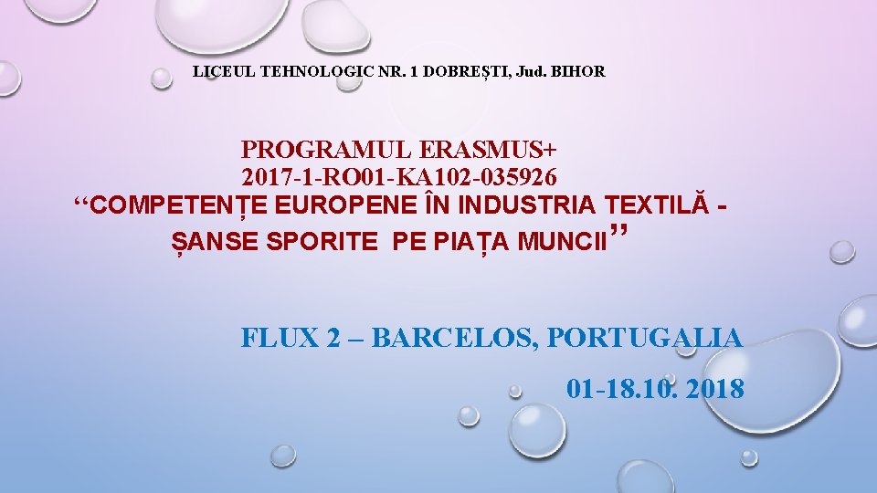 LICEUL TEHNOLOGIC NR. 1 DOBREȘTI, Jud. BIHOR PROGRAMUL ERASMUS+ 2017 -1 -RO 01 -KA