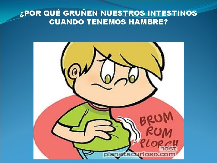 ¿POR QUÉ GRUÑEN NUESTROS INTESTINOS CUANDO TENEMOS HAMBRE? 